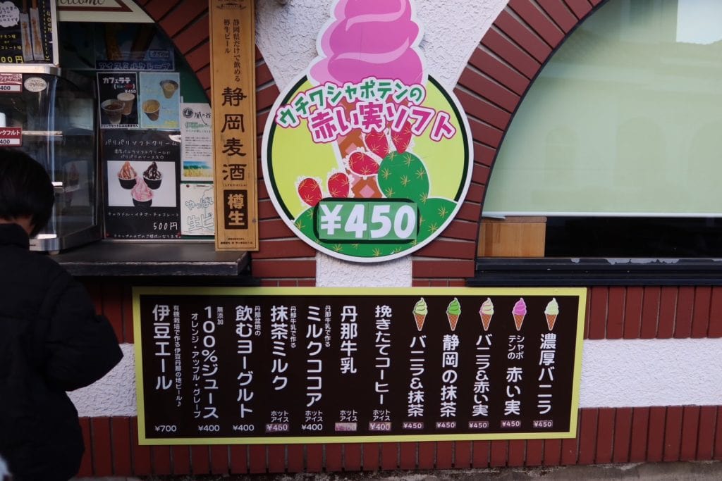 Cactus Ice Cream in Izu Shaboten Zoo